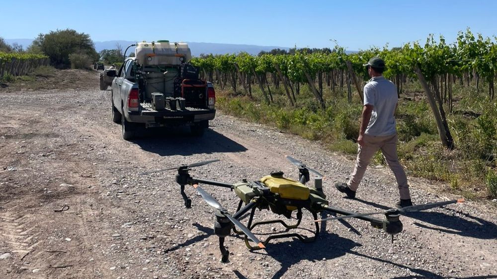 La campaña 2026/2027 combina aplicaciones con avión, drones y entrega de producto a los productores que no alcanzan los vuelos.