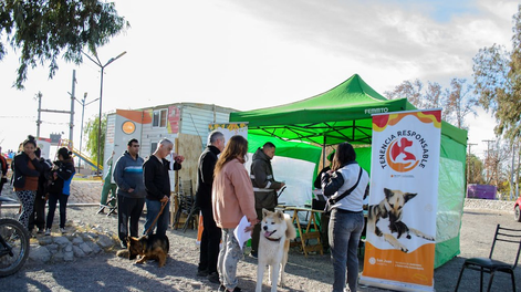 Tenencia responsable: veterinaria gratuita de mascotas en Caucete