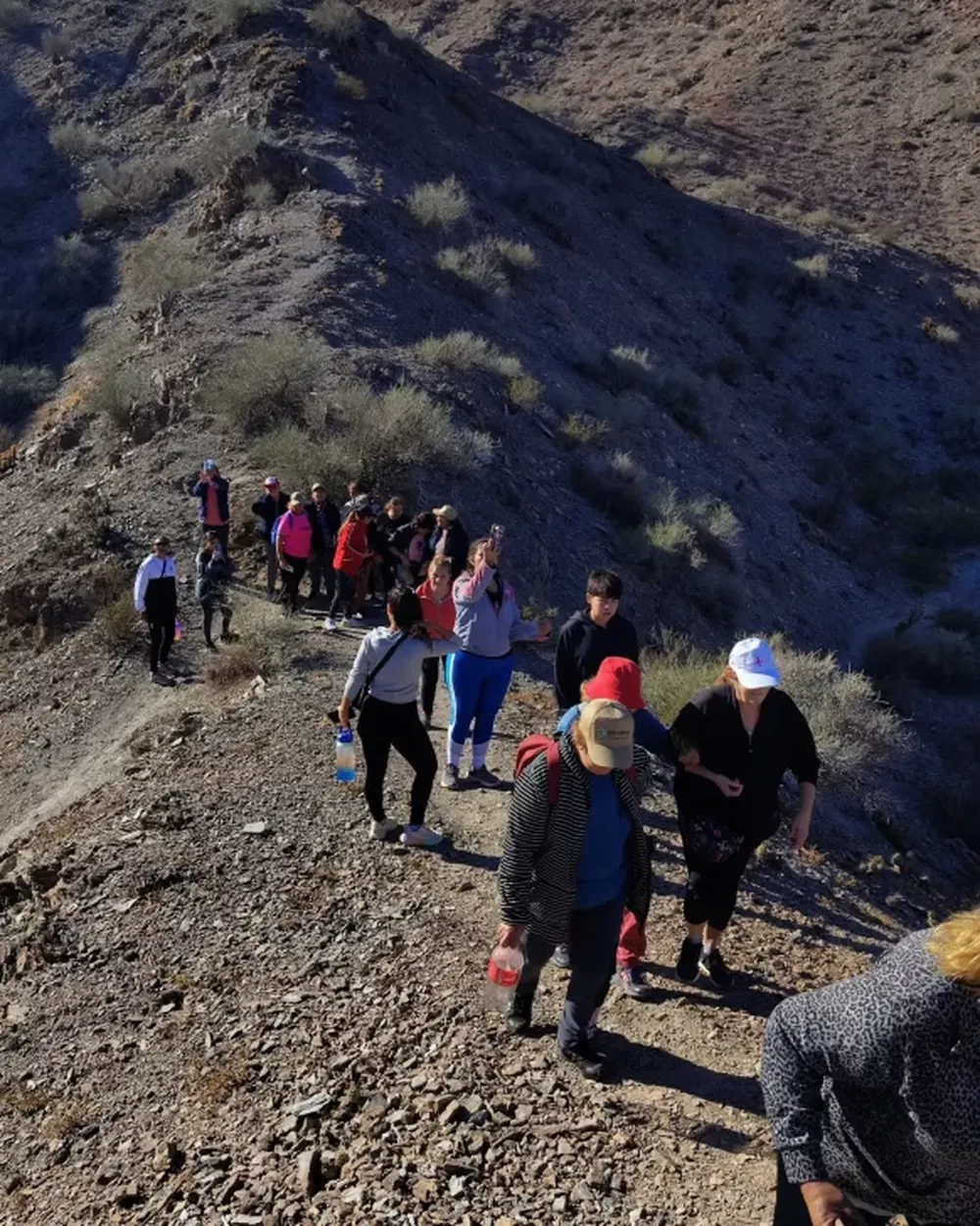 Caminata por el Cerro Pie de Palo