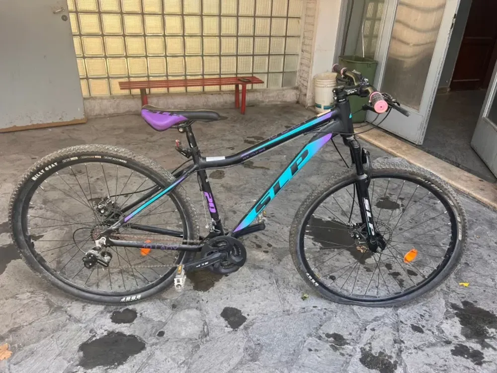 Dejó la bicicleta en la vereda y se la robaron en segundos: el ladrón fue detenido tras huir por Santa Lucía