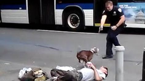 Policía baleó a un perro que protegía a su dueño
