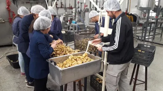 Perdió una mano en la escuela y demandó al Estado por $7,6 millones