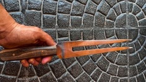 Imagen ilustrativa.-