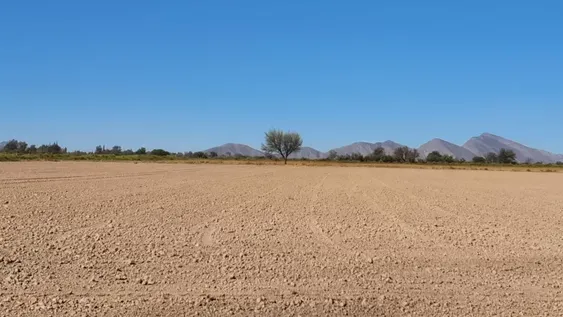 Esfuerzo y dedicación