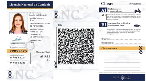 Desde hoy rige la nueva Licencia de Conducir Digital en San Juan: cómo es el trámite online