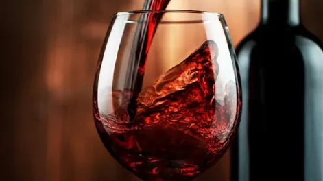 Diario de Cuyo | vini_crop1671838721933 728x546.webp