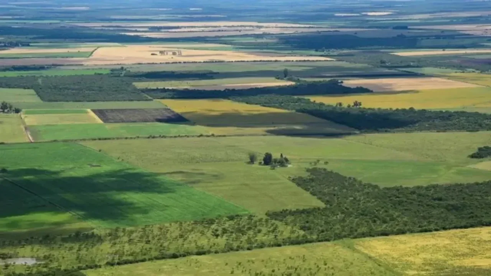 La Corte revocó el fallo que declaraba inconstitucional la derogación de la Ley de Tierras.