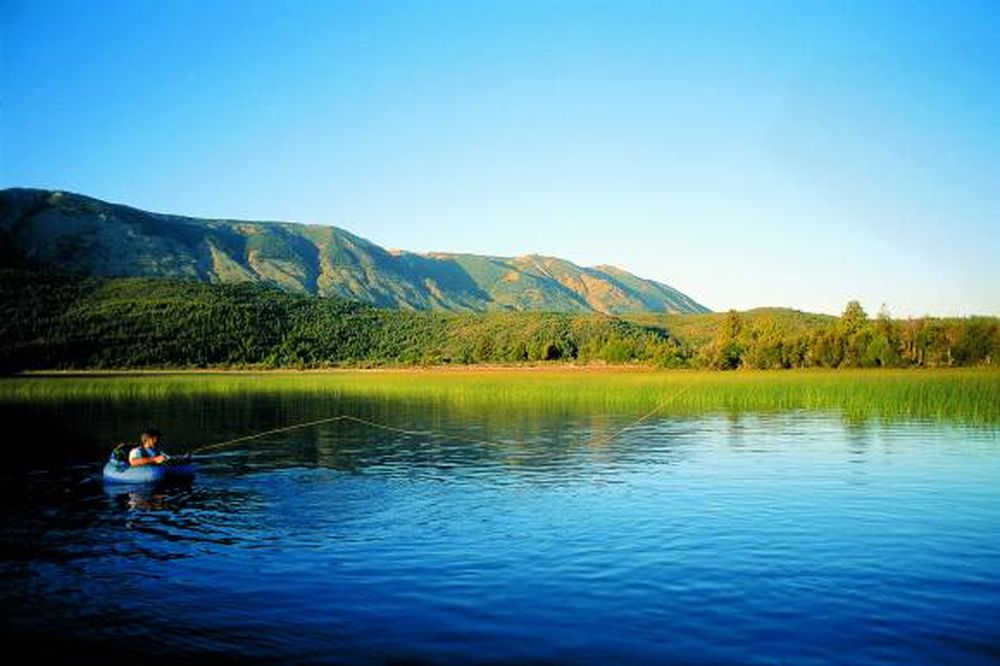Naturaleza patagónica