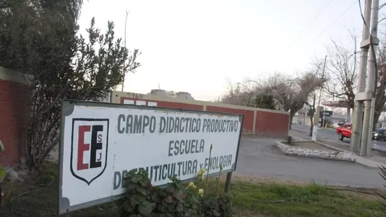 En la Escuela de Enología juntan dinero para recuperar los parrales