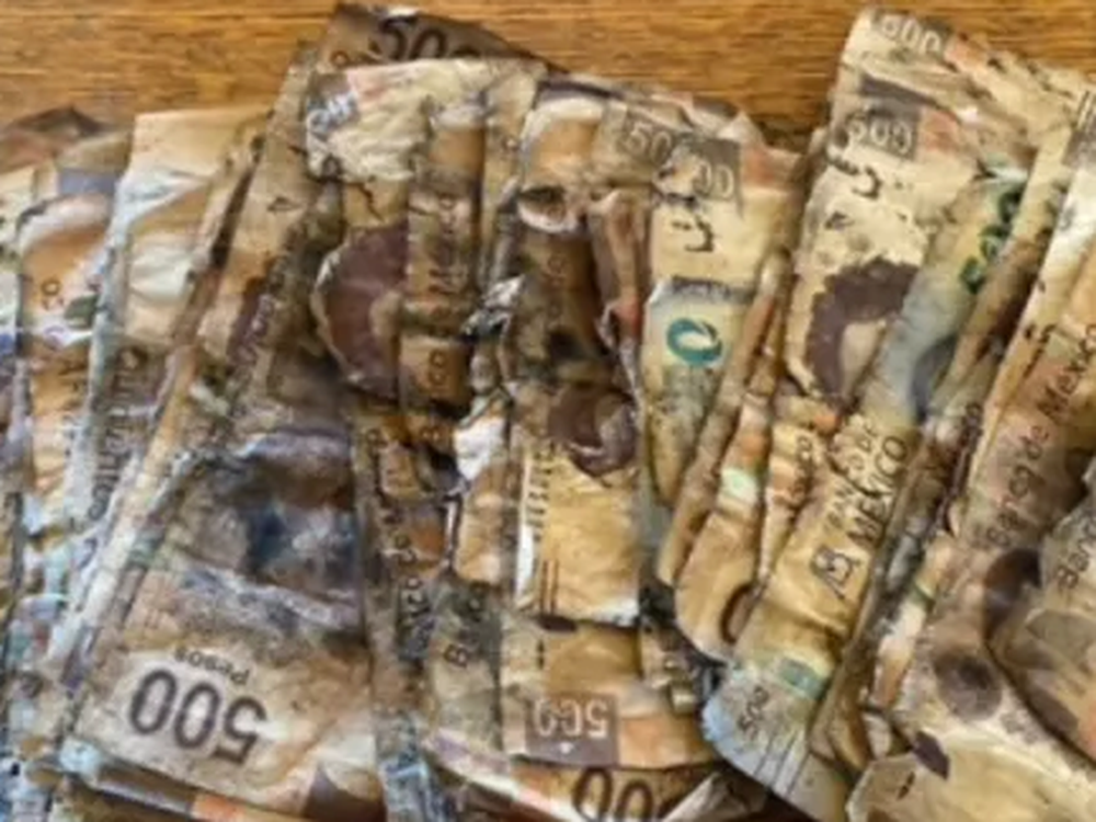 Perdió sus ahorros luego de enterrarlos por dos meses bajo tierra