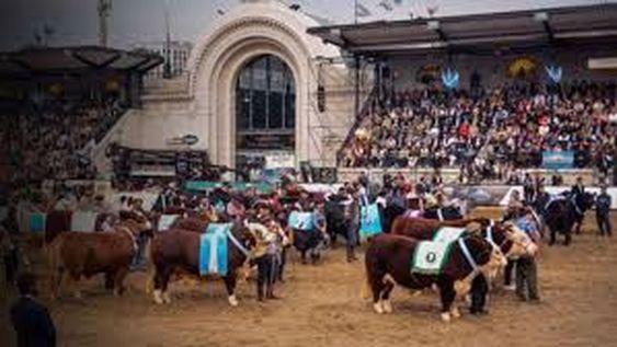 Milei anunciará en la Rural una baja de las retenciones a la carne