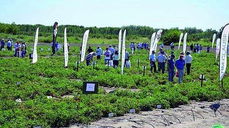 Las novedades mecánicas y la posición sanjuanina se destacaron