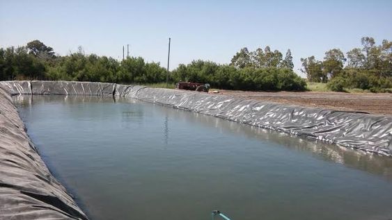 El multimillonario Jeff Bezos financia un proyecto que busca revertir el envejecimiento