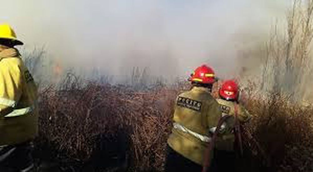 Prevenir los incendios forestales