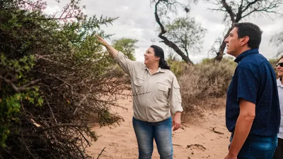 CONTROL. Gente de la Dirección de Bosques Nativos visita periódicamente los proyectos de preservación vigentes para controlar que cumplan con lo estipulado.