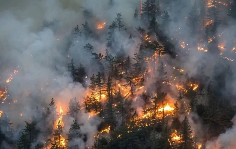 Más de 2,7 millones de hectáreas fueron arrasadas por los incendios en Canadá