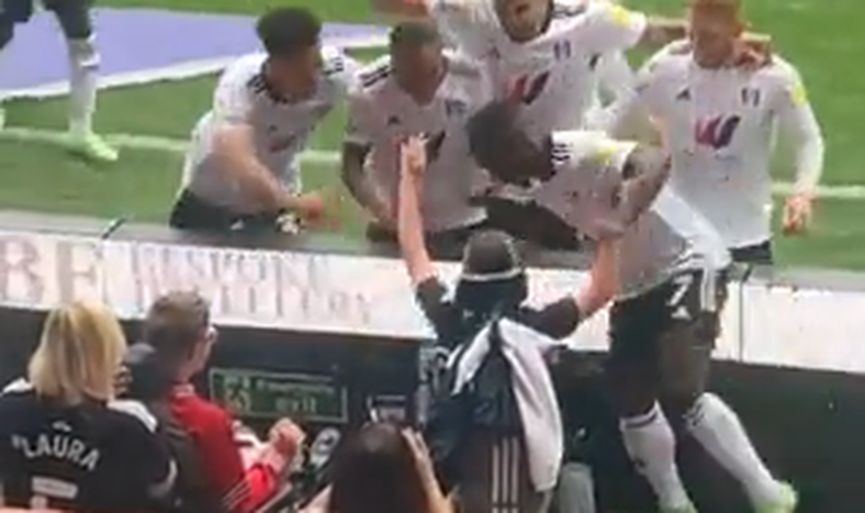 [VIDEO] Jugadores del Fulham festejaron un gol con un niño que sufrió bullying