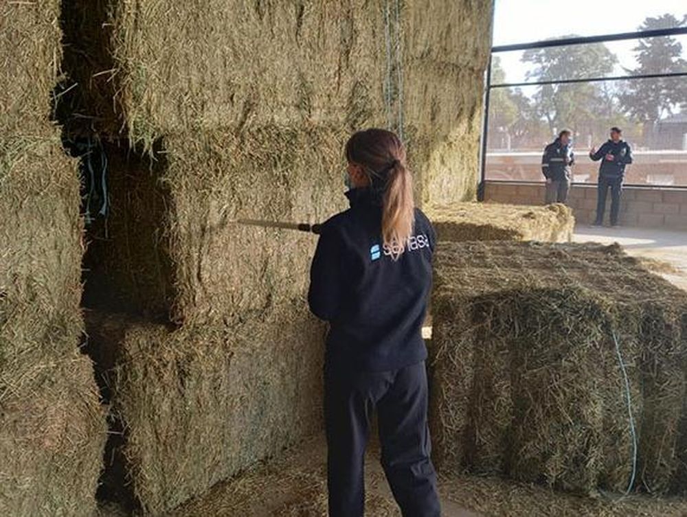 Alfalfa: Inauguraron Nodo Logístico Ferroviario