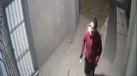 Un ladrón forzó las rejas e ingresó a una casa en Trinidad: todo quedó filmado