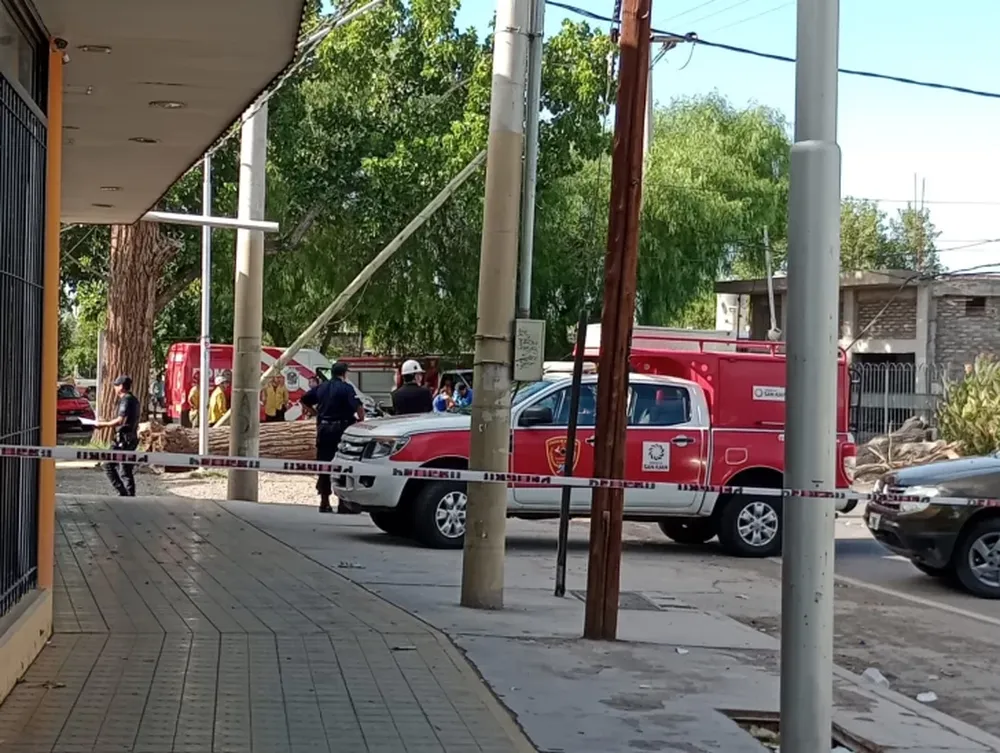 Difundieron la identidad del hombre que fue aplastado por un árbol en Rivadavia