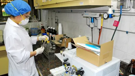 ES DESTACABLE el avance de las investigaciones de los científicos de la Universidad Católica, reconocidas en el programa Apoyarnos en la ciencia.