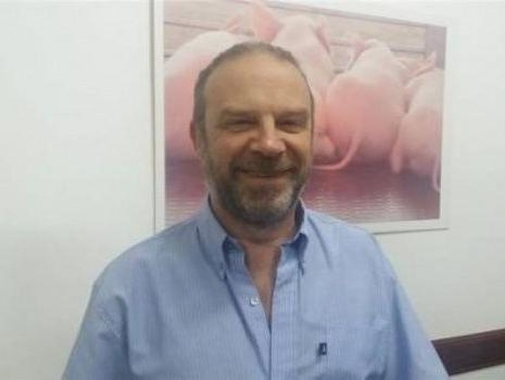 La porcinicultura lidera los sectores ganaderos rentables