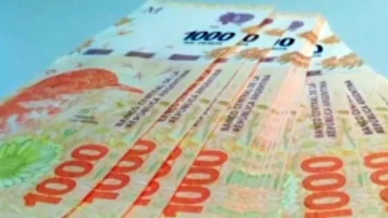 Crédito ANSES: podés pedir hasta $300.000 en muchas cuotas y poco interés