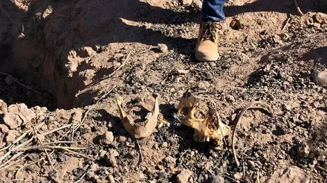 Encontraron 11 fosas clandestinas con 22 cadáveres en el norte de México
