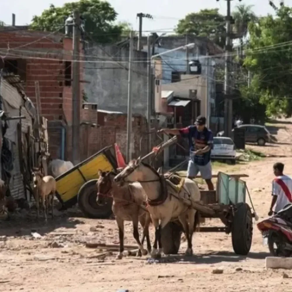 Un informe reveló que 7 de cada 10 niños que asisten a escuelas públicas son pobres