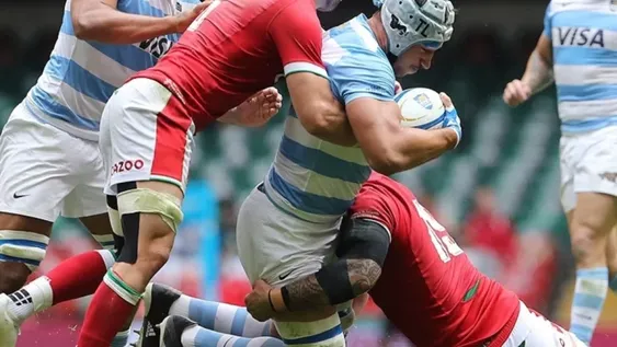 Los Pumas vencieron a Gales y terminan invictos en la gira europea