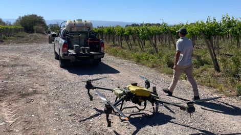 La campaña 2026/2027 combina aplicaciones con avión, drones y entrega de producto a los productores que no alcanzan los vuelos.