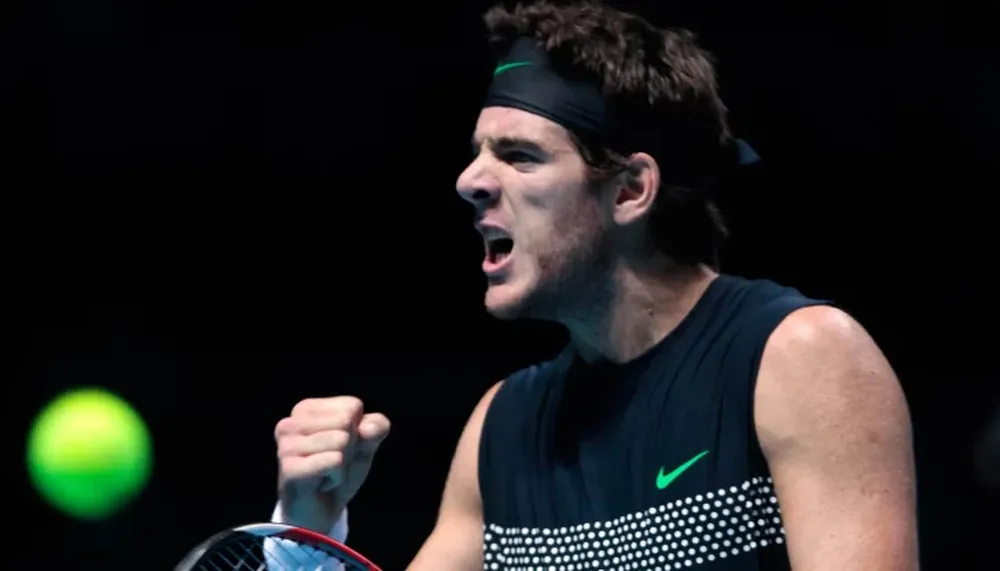 Del Potro ganó y es finalista