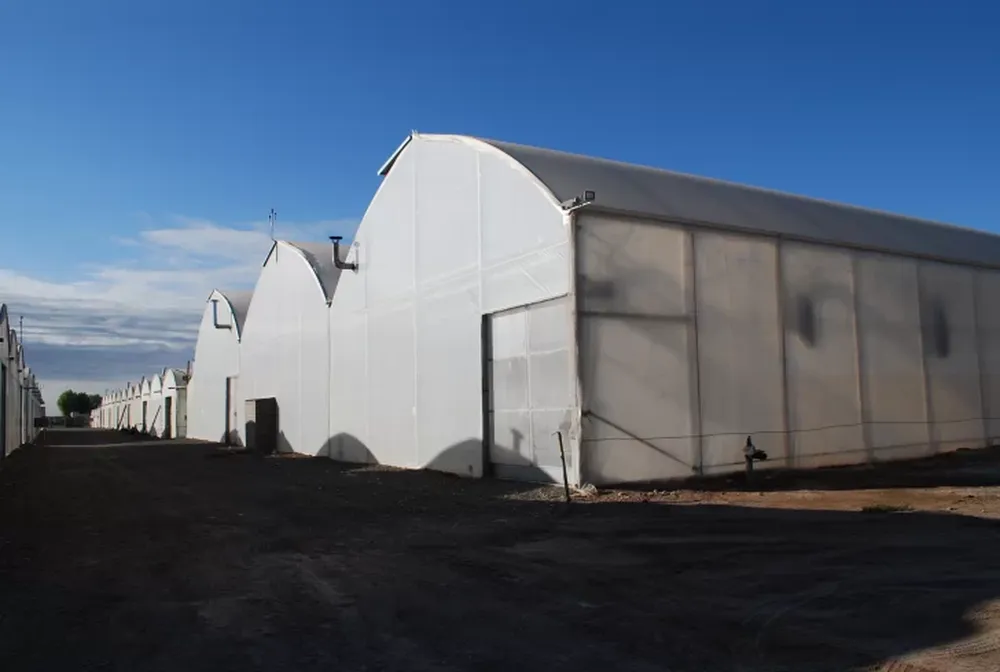 Fitotec: actualización permanente al servicio del productor agrícola