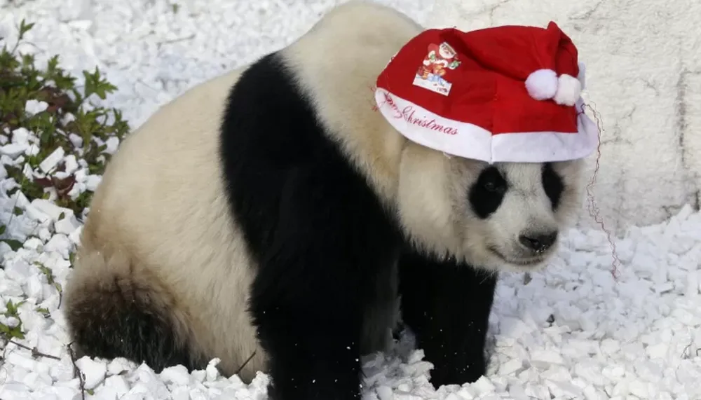 Postales navideñas del mundo