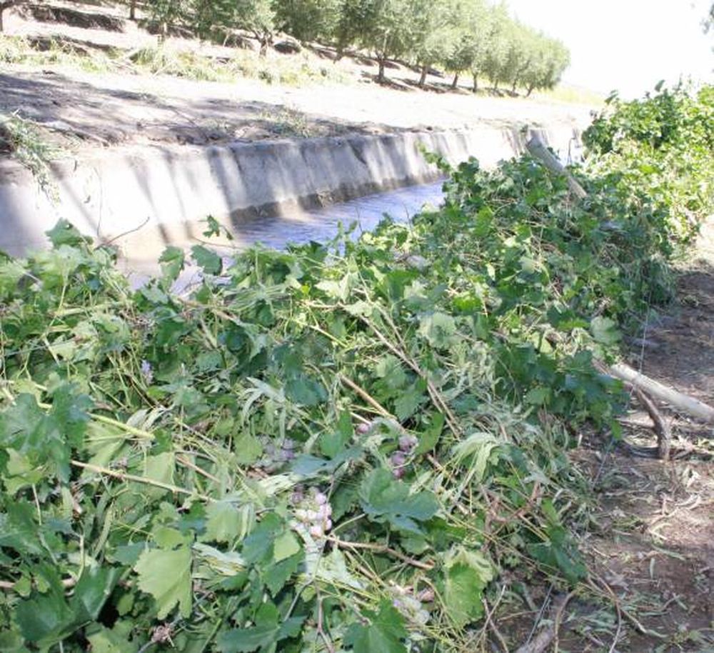 Un tornado azotó la madrugada