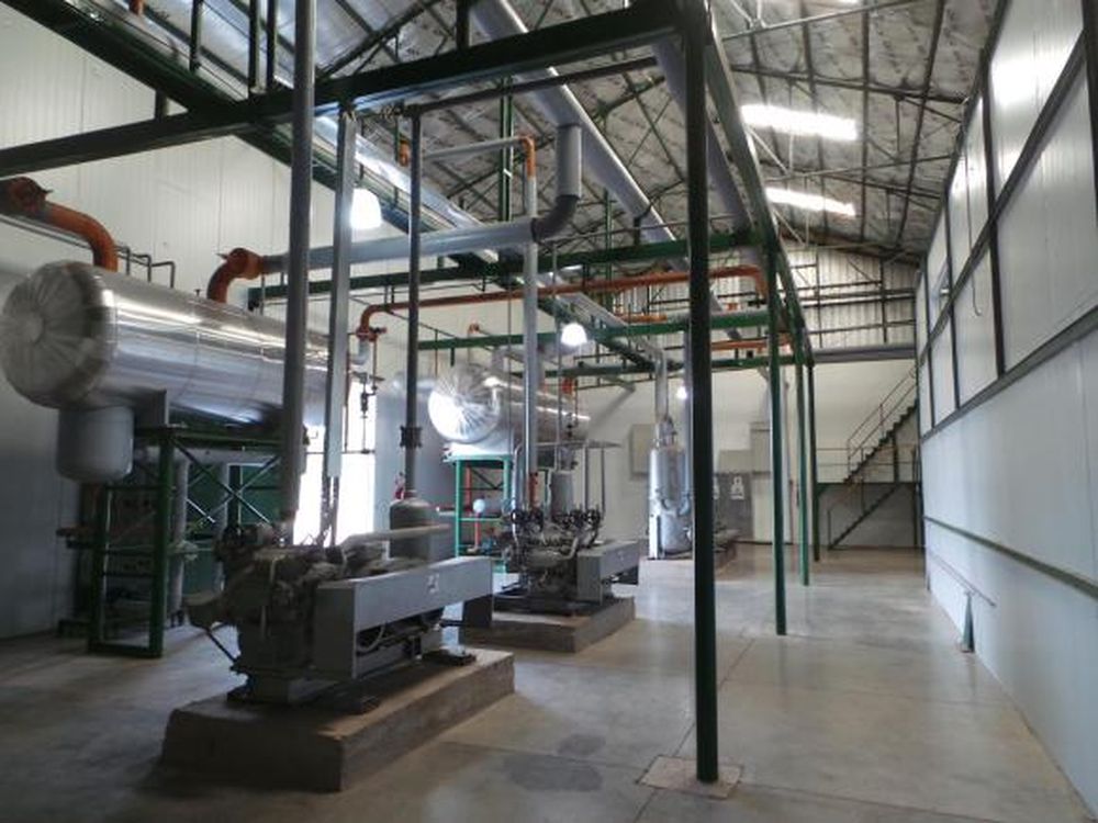 Iceberg Agrícola apunta muy alto: alimentos congelados al mundo