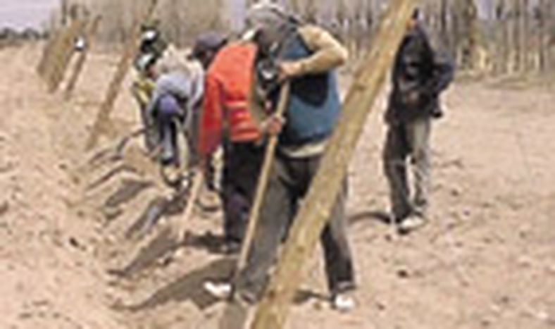 El Premio a la Excelencia Agropecuaria, busca EAS