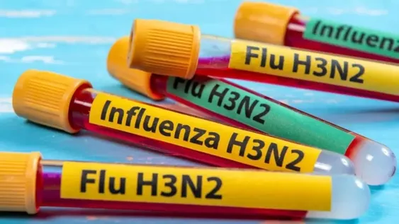Influenza A H3N2: todo lo que tenes que saber sobre la nueva mutación, de la mano de una infectóloga sanjuanina