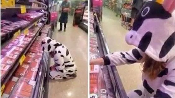 Cayó un 70% en el último año la cantidad de feedlots que funcionan en la provincia