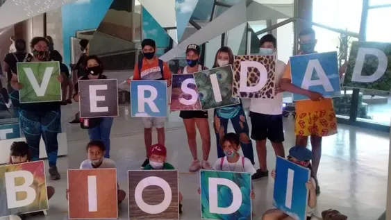 Paseos gratis para los niños en Rawson