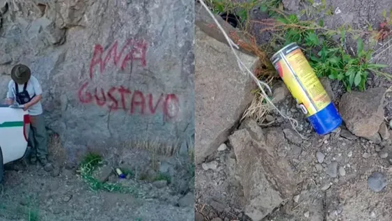 Pintada en el Parque Nahuel Huapi.