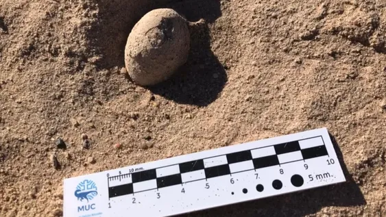 70 huevos de dinosaurios