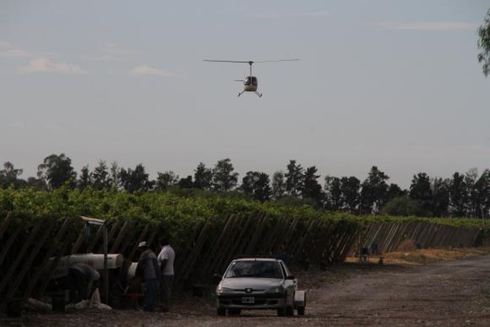 Utilizan un helicóptero para prevenir plagas en San Juan