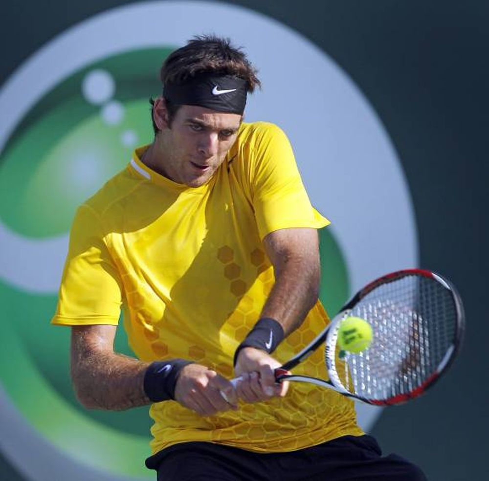 Del Potro quedó en octavos