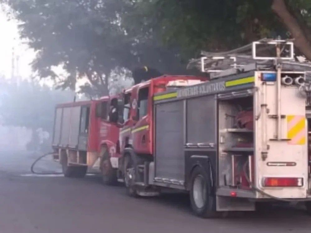 Se le incendió un corral y murieron 10 cerdos