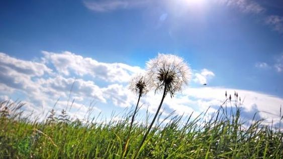Martes con pocas nubes y máxima de 31 grados en San Juan