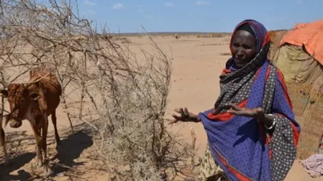 África comienza a desalinizar agua del mar