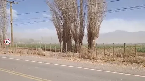 Las fallas eléctricas en Calingasta están vinculadas especialmente a los fuertes vientos, por lo que empezarán con un programa de poda.