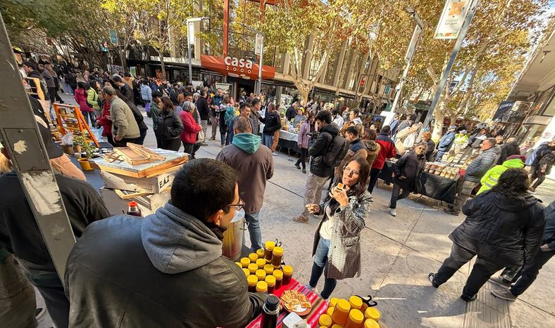 Este miércoles se realizó una feria por el Dia Mundia de la Abeja donde la miel fue la protegonista.