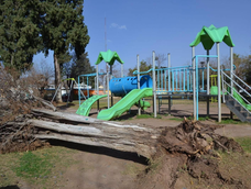las impactantes imagenes que dejo el zonda en valle fertil: arboles caidos, postes derribados y familias afectadas